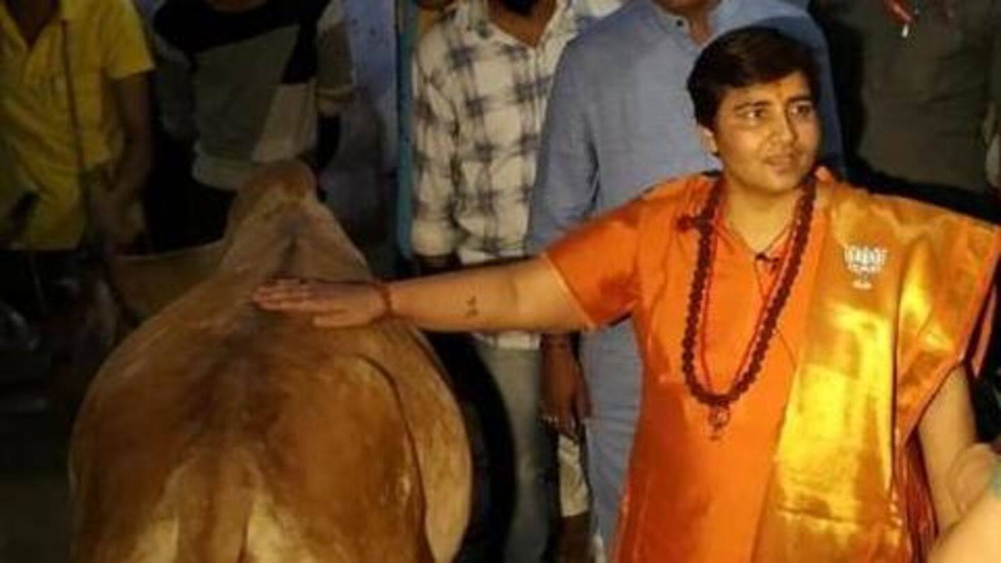 Earlier, Pragya Thakur had claimed cow urine cured her cancer Earlier, Pragya Thakur had claimed cow urine cured her cancer