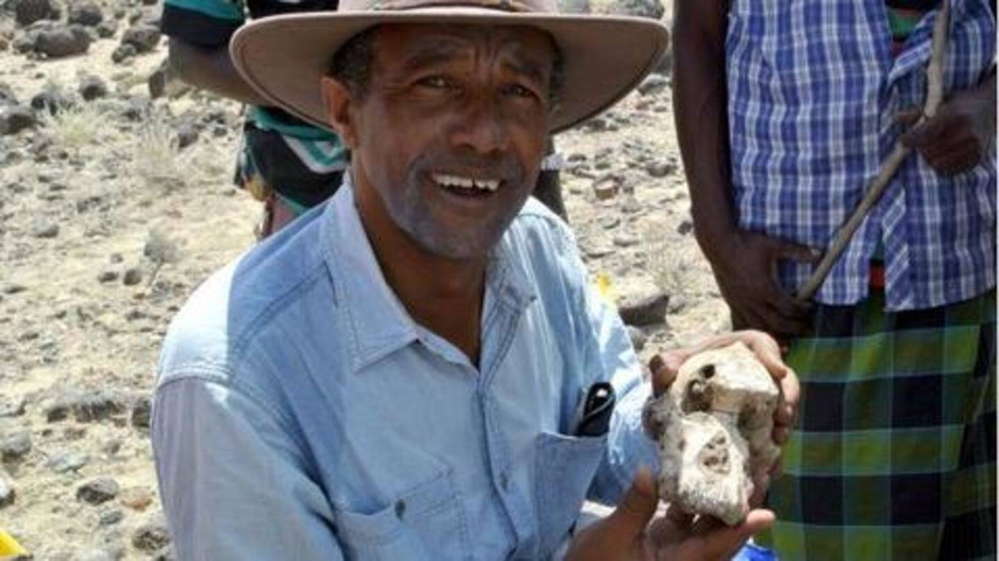 Discovered in 2016, fossil dates back to 3.8 million years Discovered in 2016, fossil dates back to 3.8 million years
