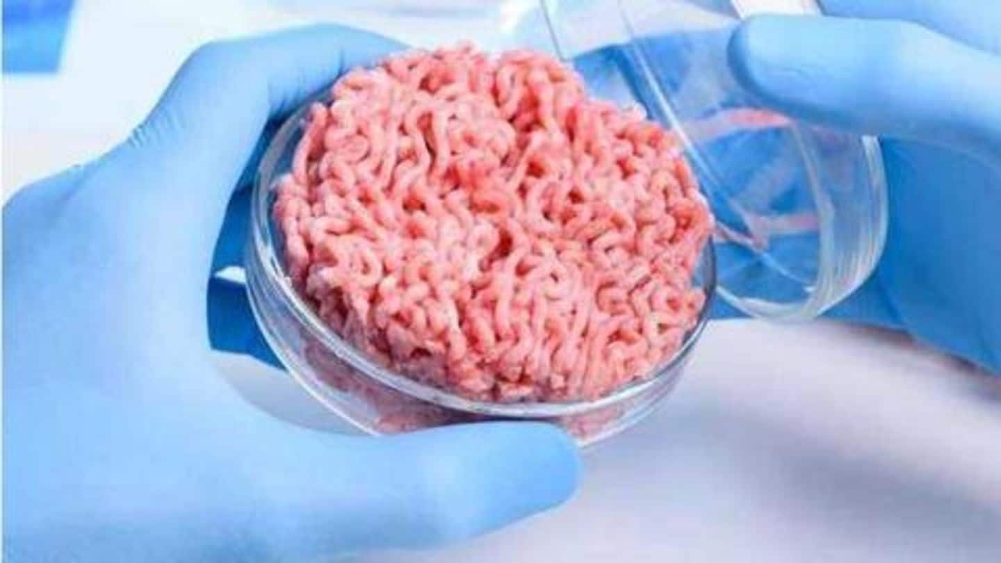 IIT-Guwahati researchers develop lab-grown artificial meat that's eco-friendly