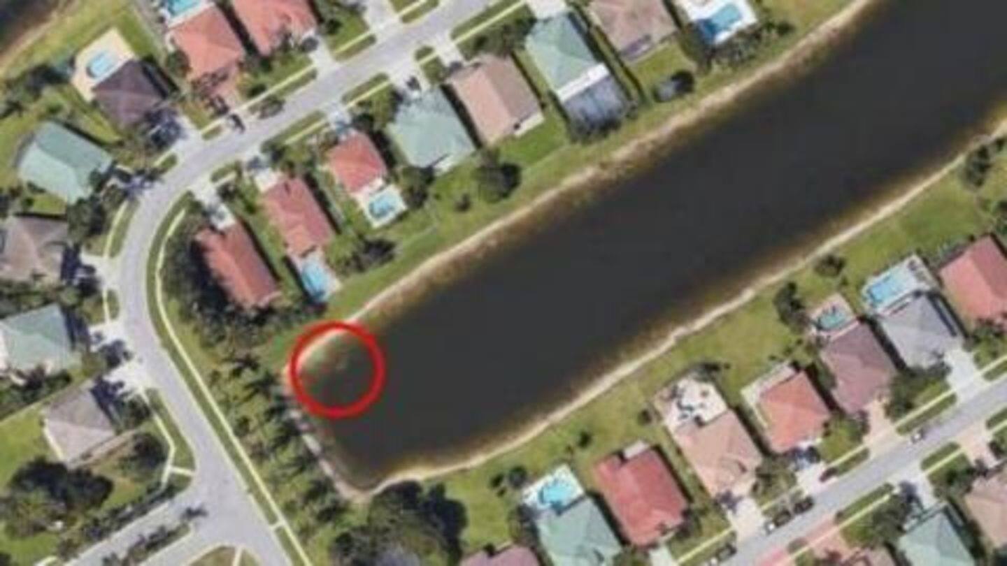 Wellington resident received call about sunken car behind his house Wellington resident received call about sunken car behind his house