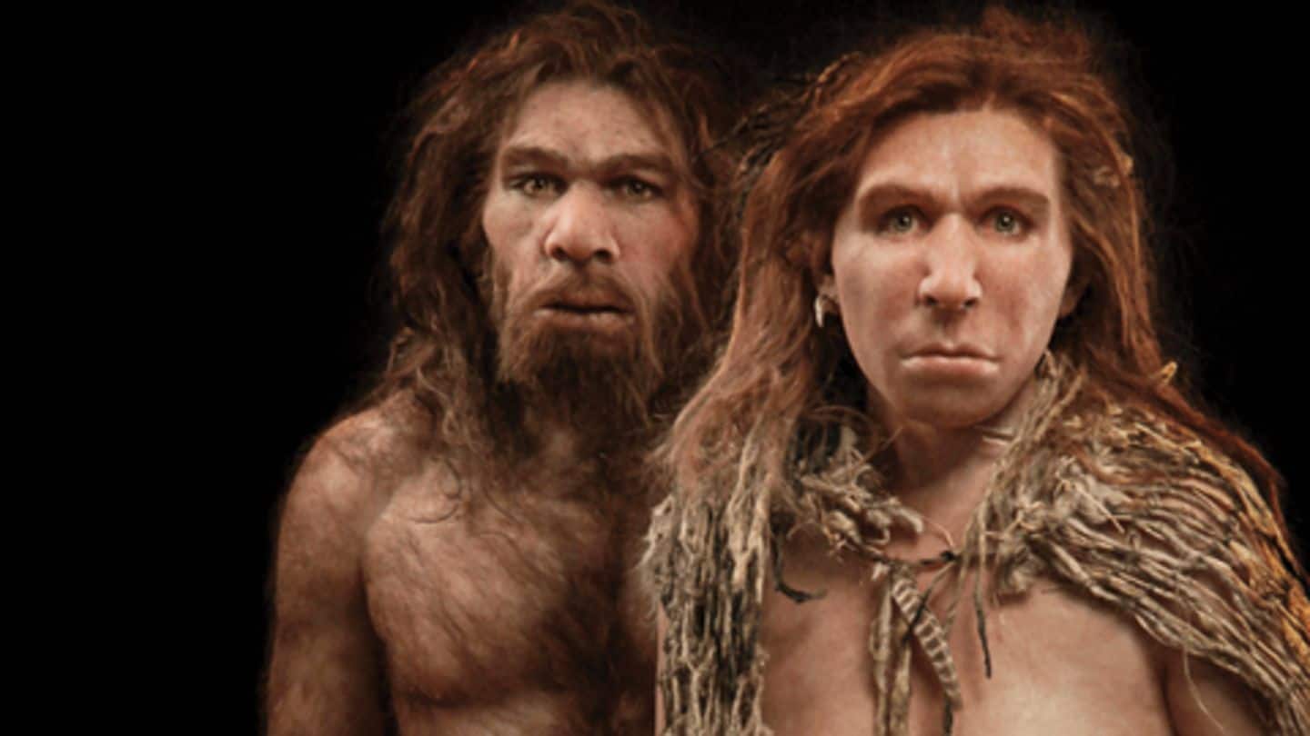 Common infection responsible for Neanderthals' extinction? New study reveals so