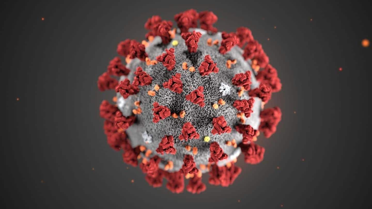 More infectious coronavirus strain with D614G mutation found in Malaysia