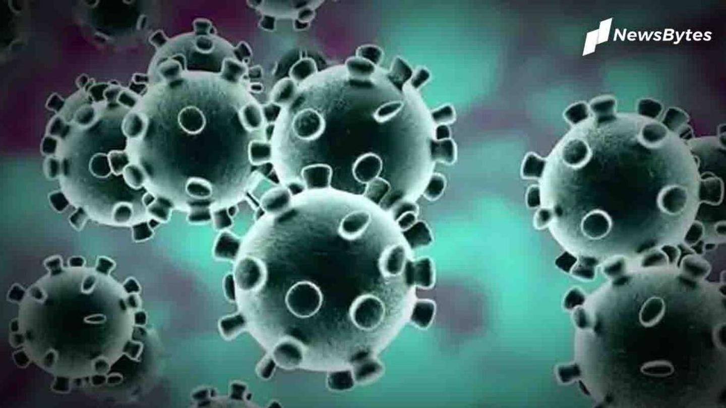 Guidelines extended due to new variant of virus: Home Ministry Guidelines extended due to new variant of virus: Home Ministry