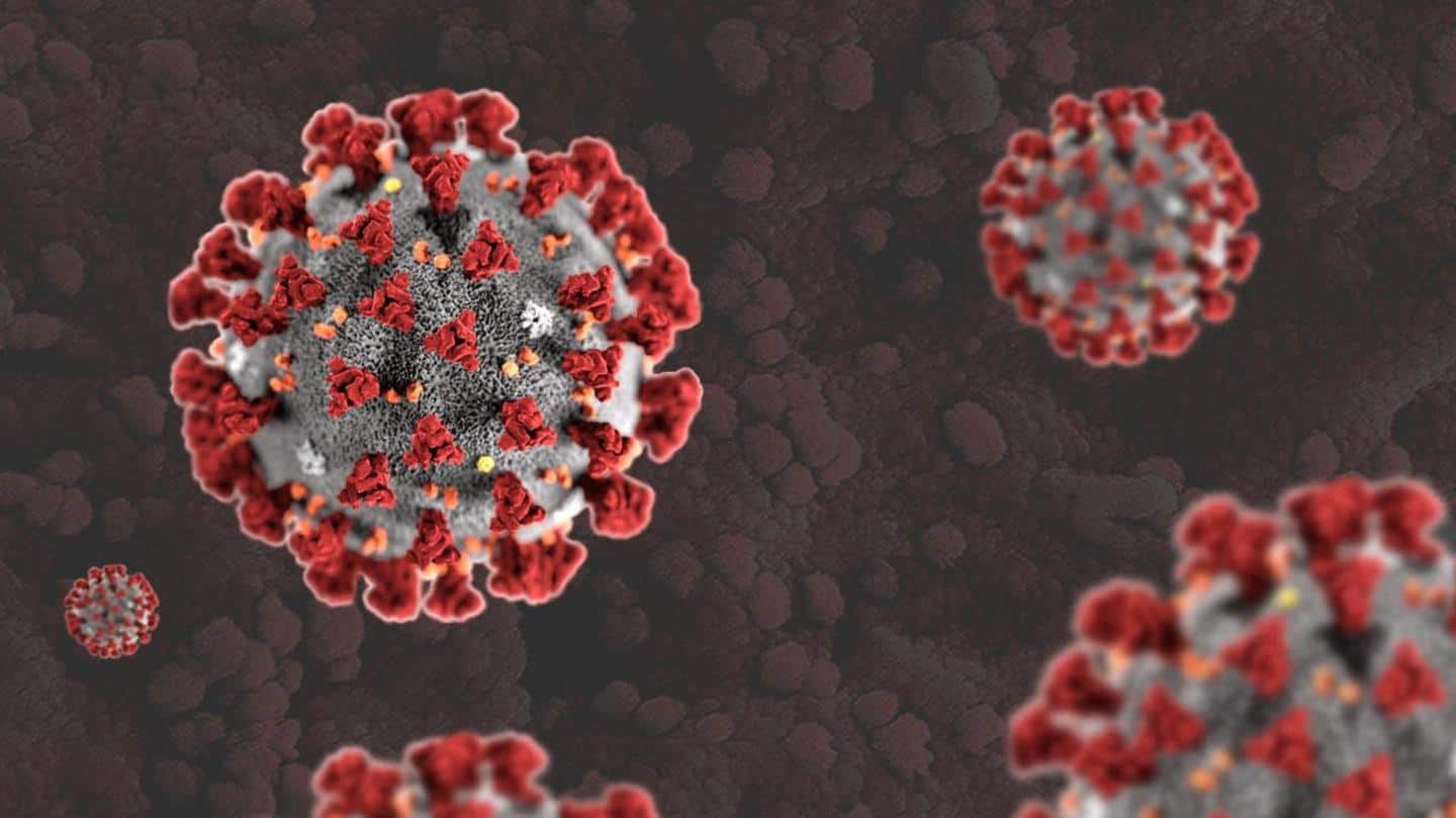 COVAXIN will work better against new strain, says government COVAXIN will work better against new strain, says government