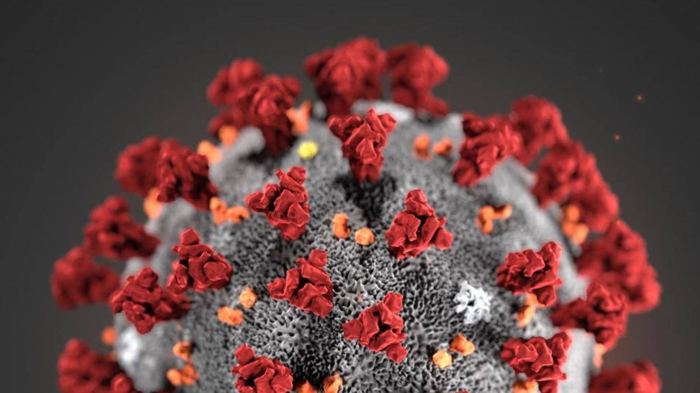 How bad is the outbreak in India? How bad is the outbreak in India?