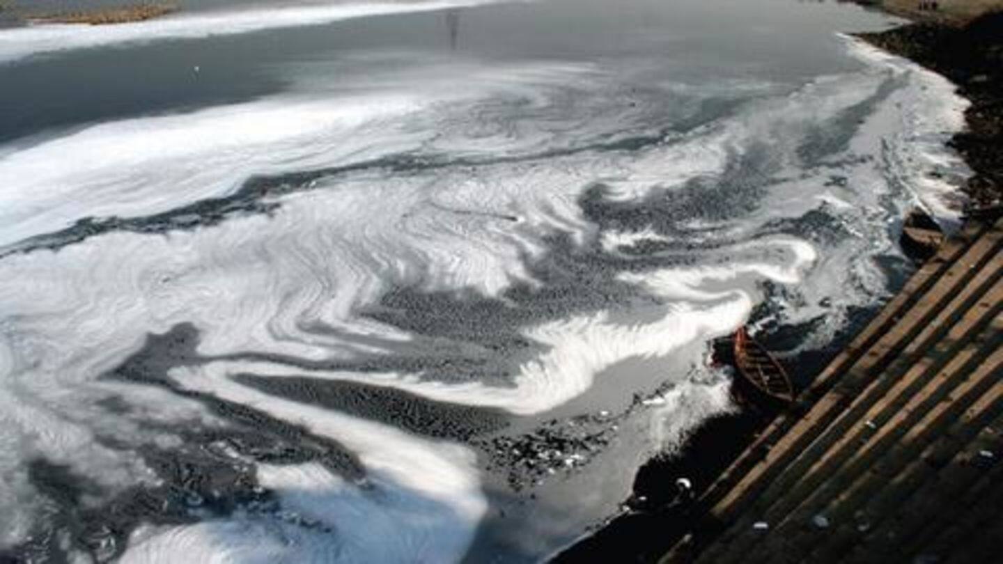 Lead contamination could be from industries of batteries, paint, etc. Lead contamination could be from industries of batteries, paint, etc.