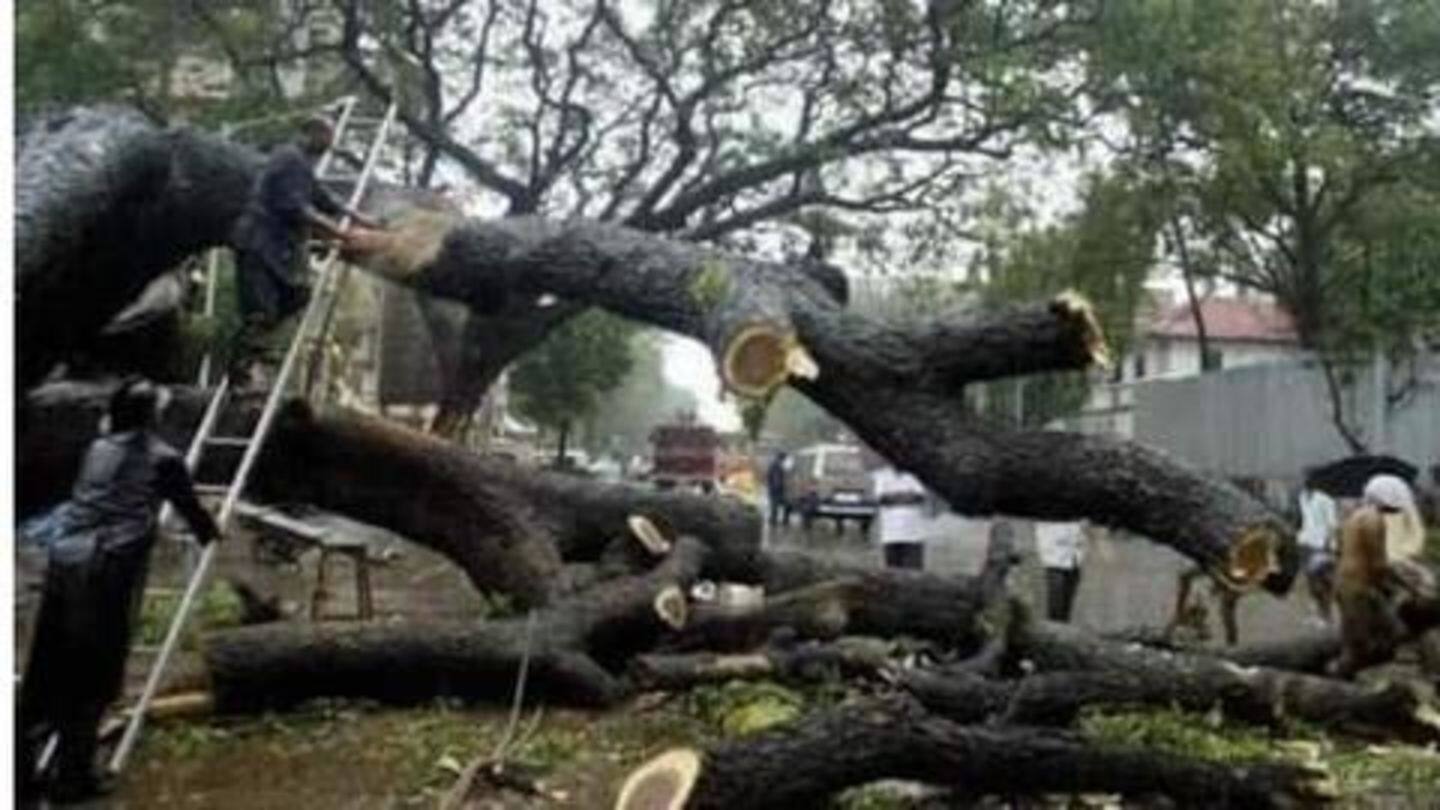 What had happened at Aarey Colony? What had happened at Aarey Colony?