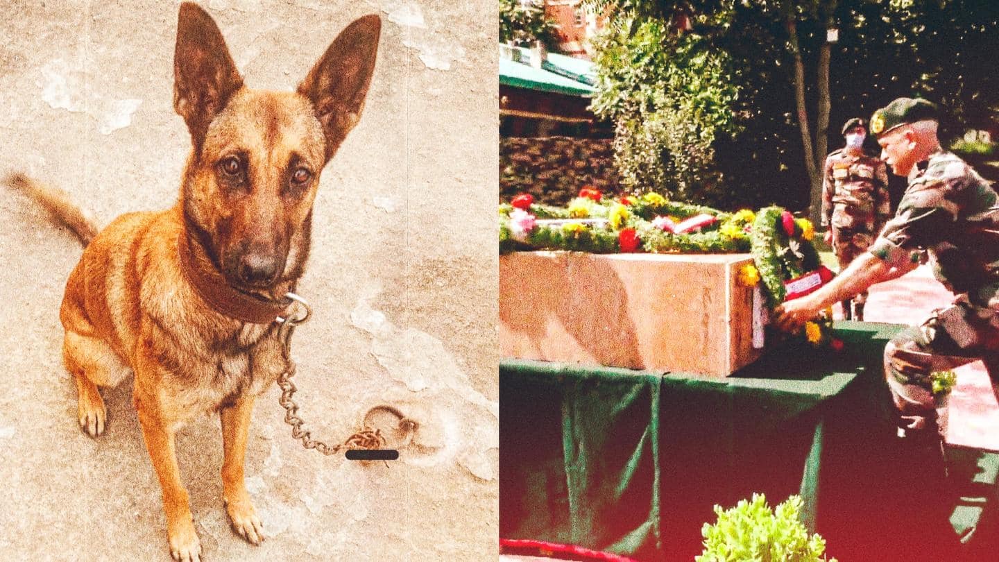 Army dog 'Axel', died in anti-terror operation, laid to rest