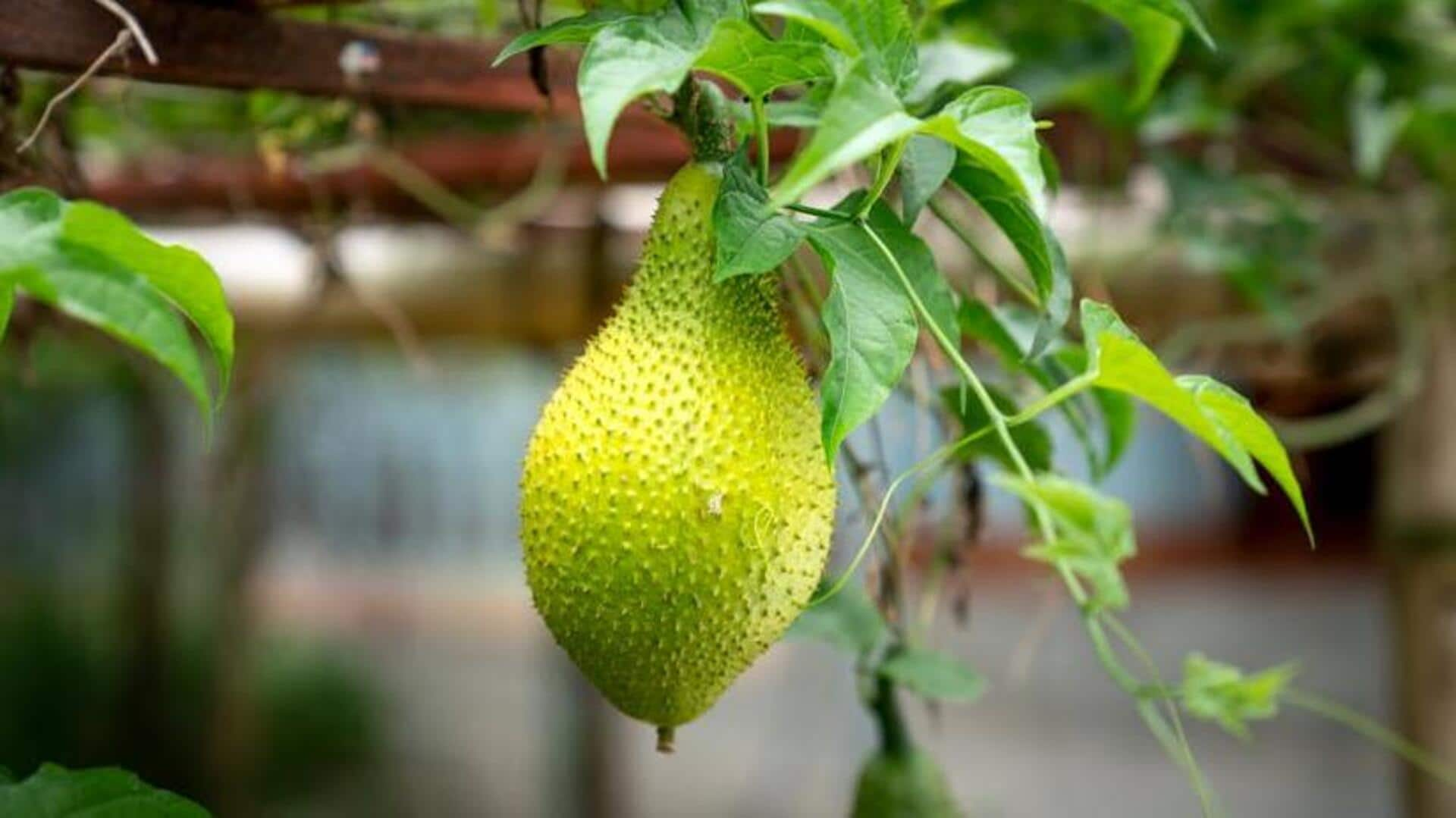 Kerala's jackfruit vegan delights you should savor