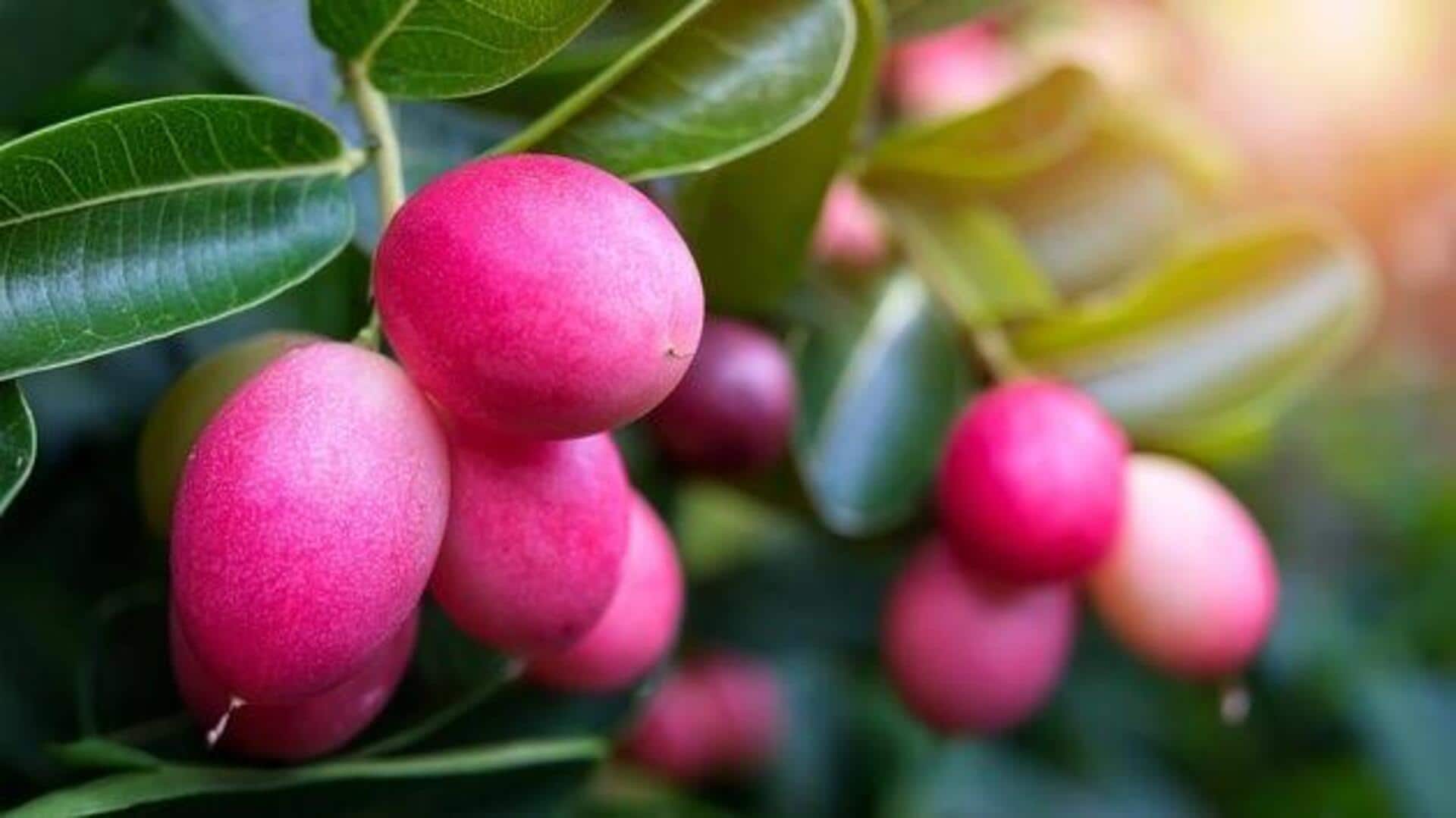 Karonda: 5 health benefits of this berry