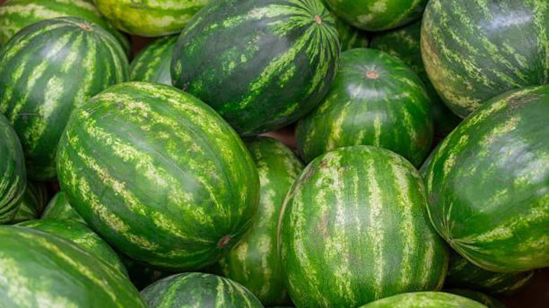 5 savory dishes featuring wild watermelon