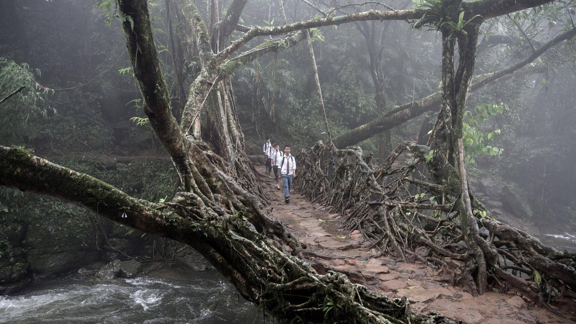 India nominates Meghalaya's living root bridges for UNESCO heritage status
