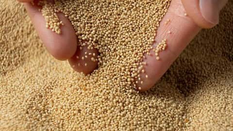 5 delicious dishes made with amaranth 