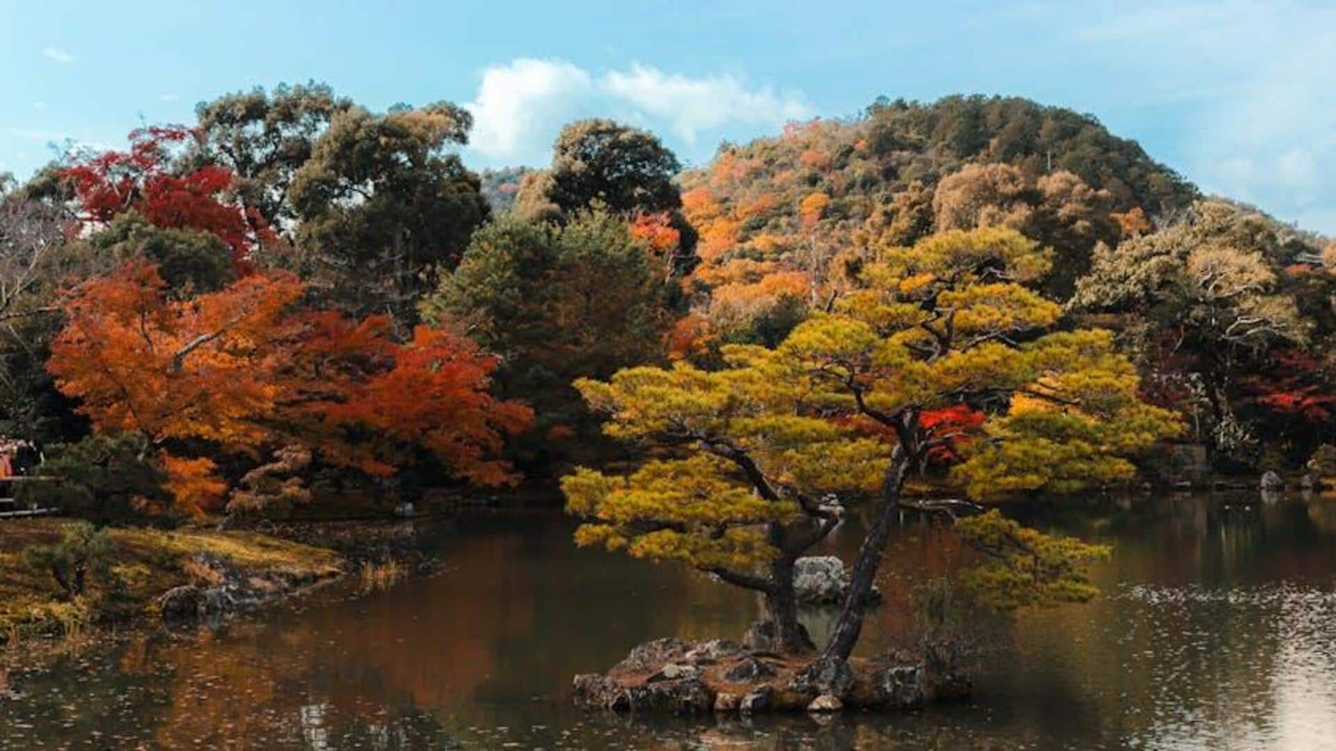 Hidden gems in Japan you must explore Hidden gems in Japan you must explore