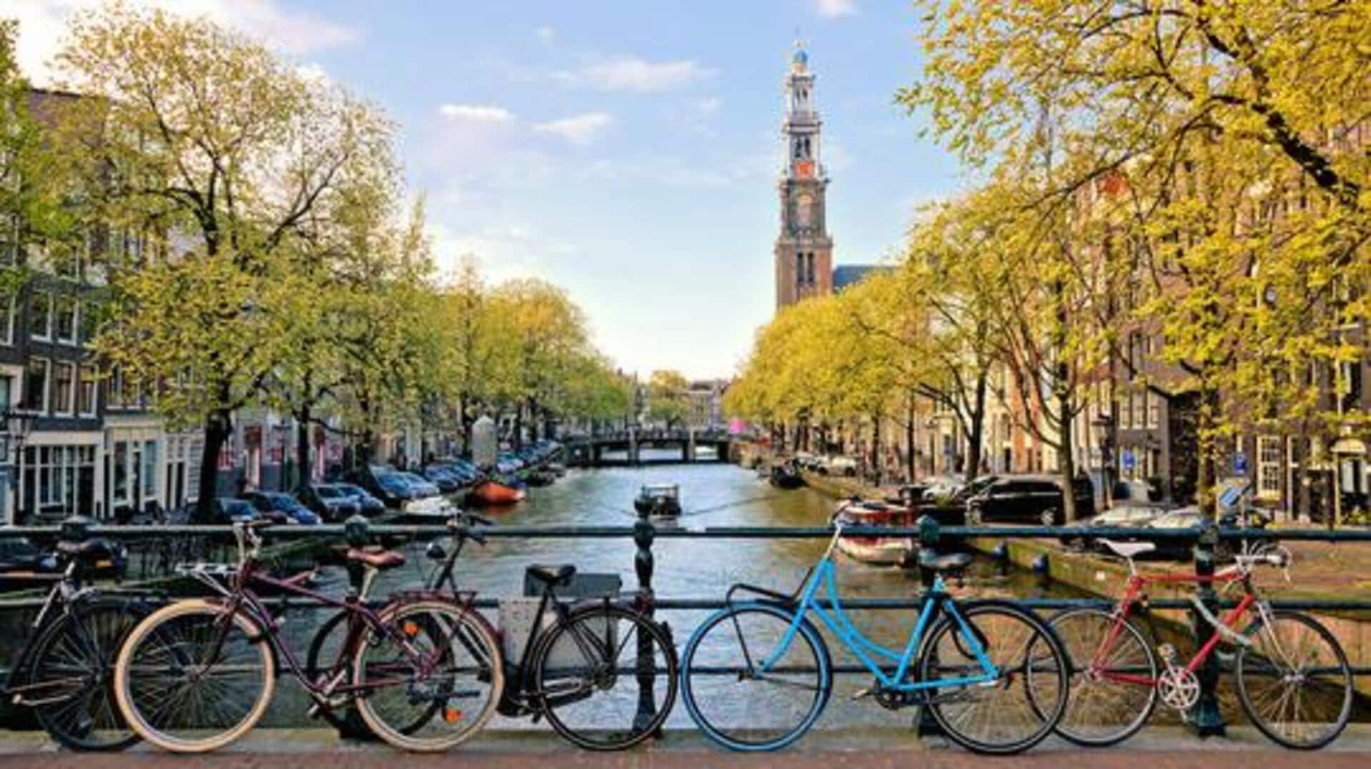 Explore Netherlands like a local: Top cycling routes 