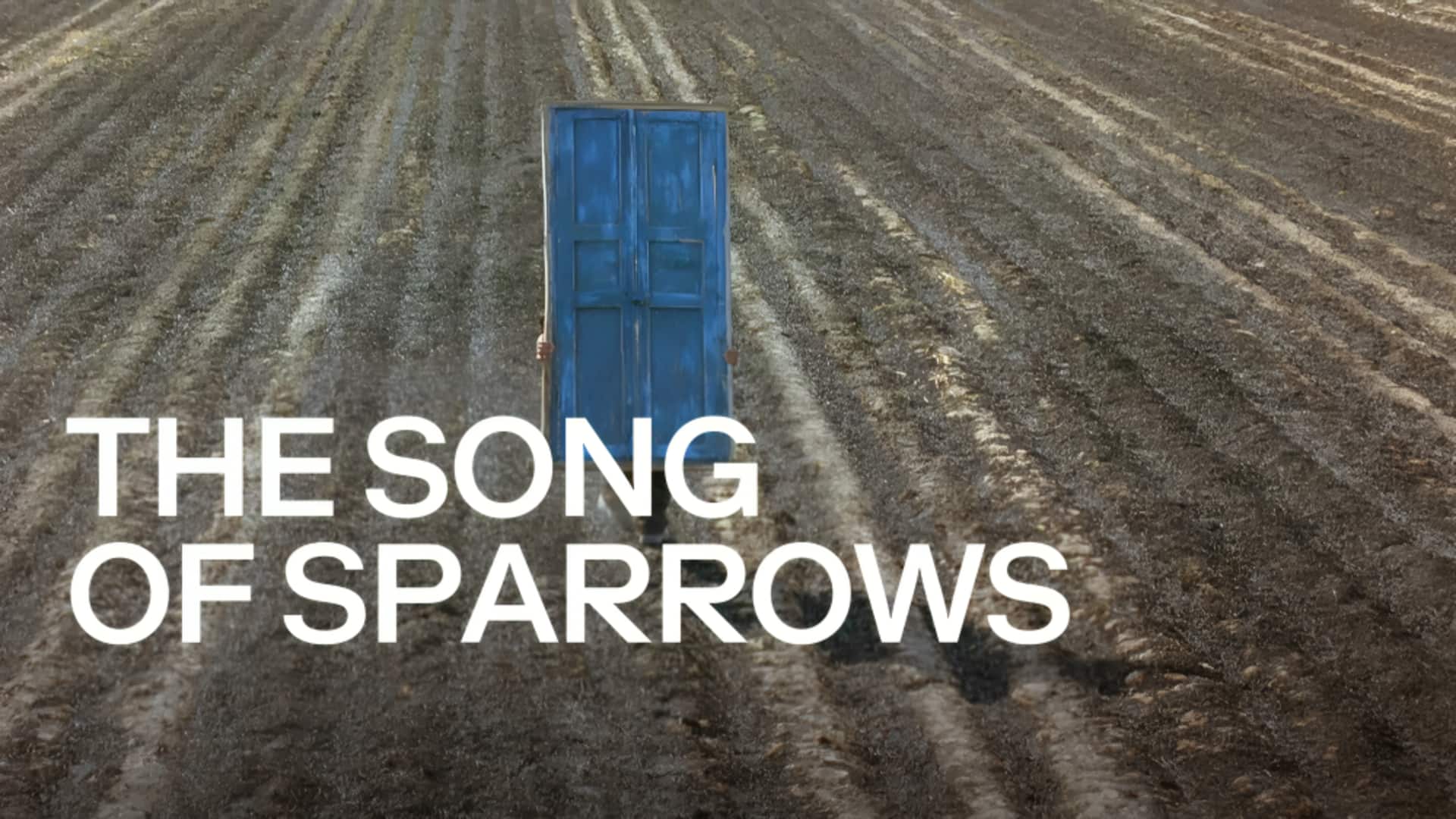 NewsBytes Recommends: 'The Song of Sparrows'—finding life amid despondency