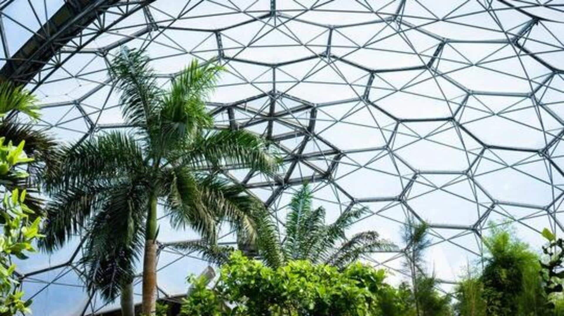 World's most stunning greenhouses: A list World's most stunning greenhouses: A list
