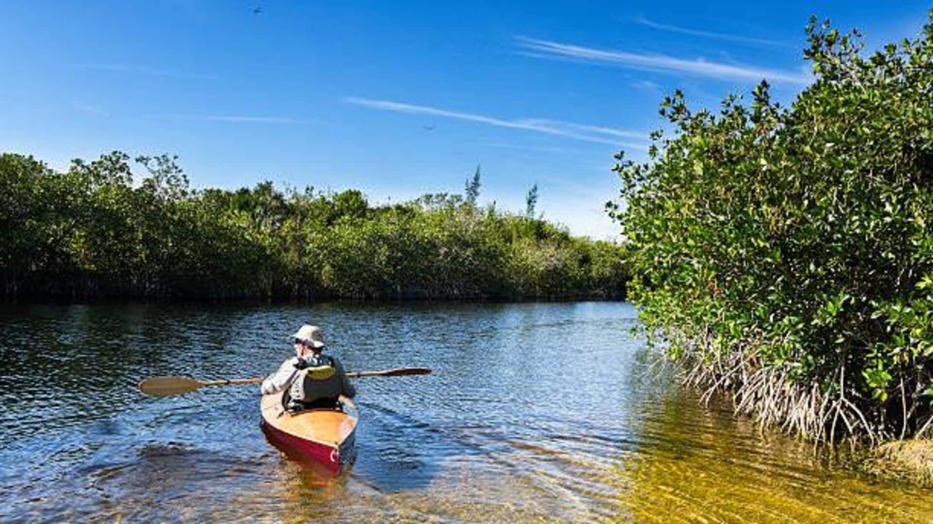 Kayakers, paddle across Gabon's pristine mangroves 