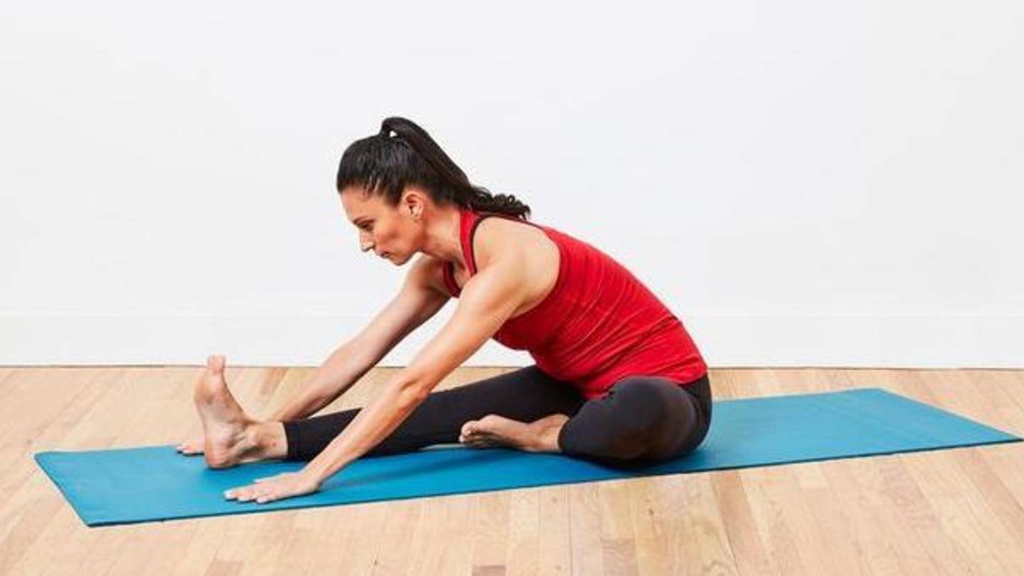 Hurdler hamstring stretch flexes the hamstrings Hurdler hamstring stretch flexes the hamstrings