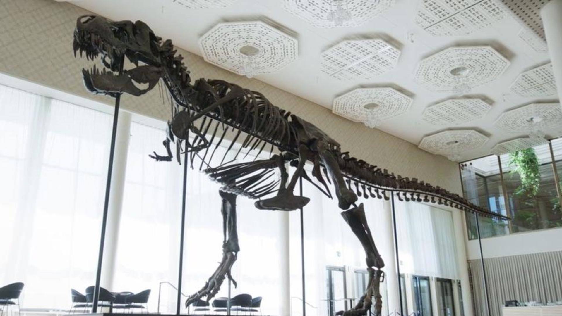 Someone just bought a dinosaur skeleton for Rs. 50 crore