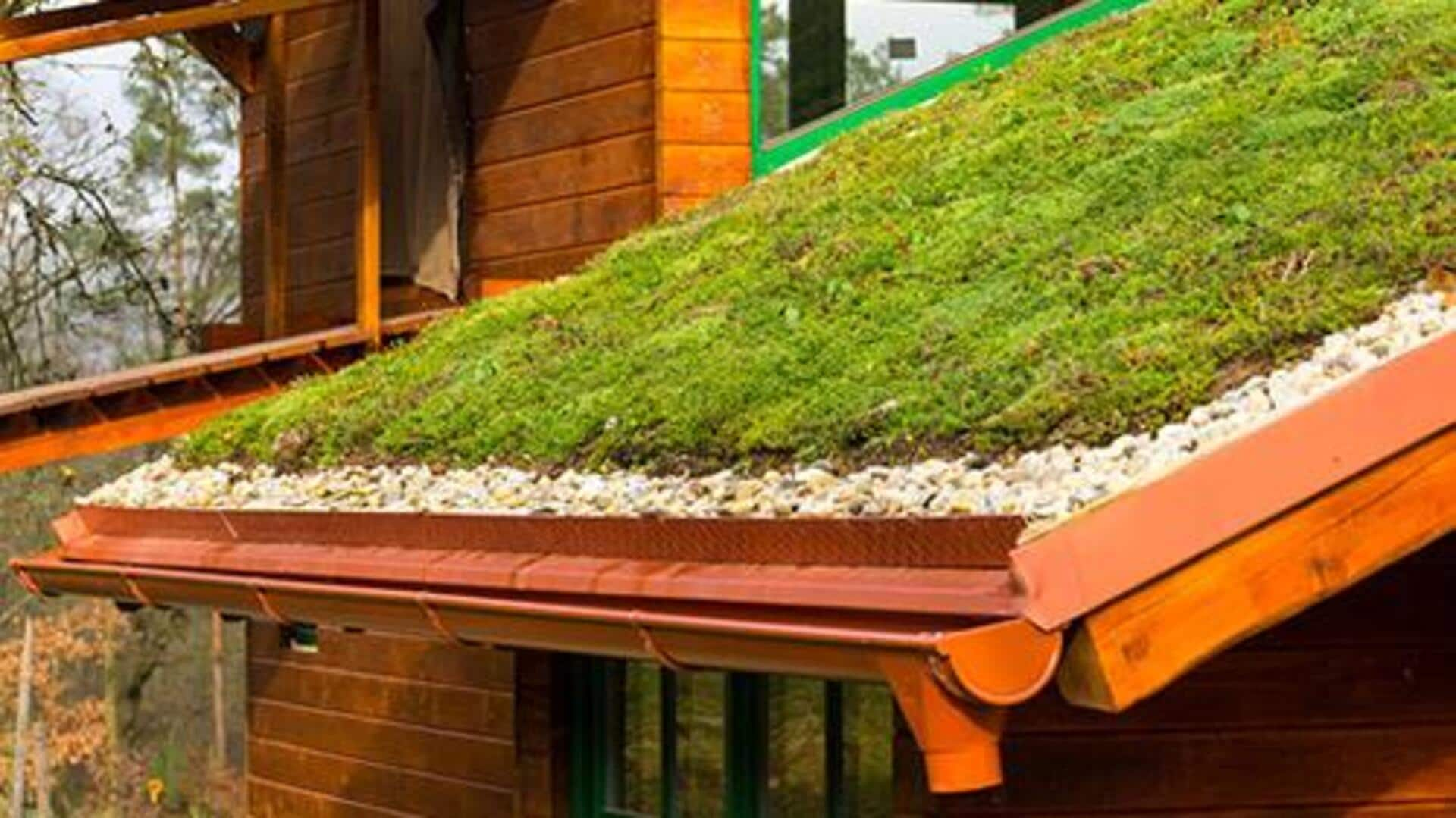 Cost-efficient green roof installation in Africa