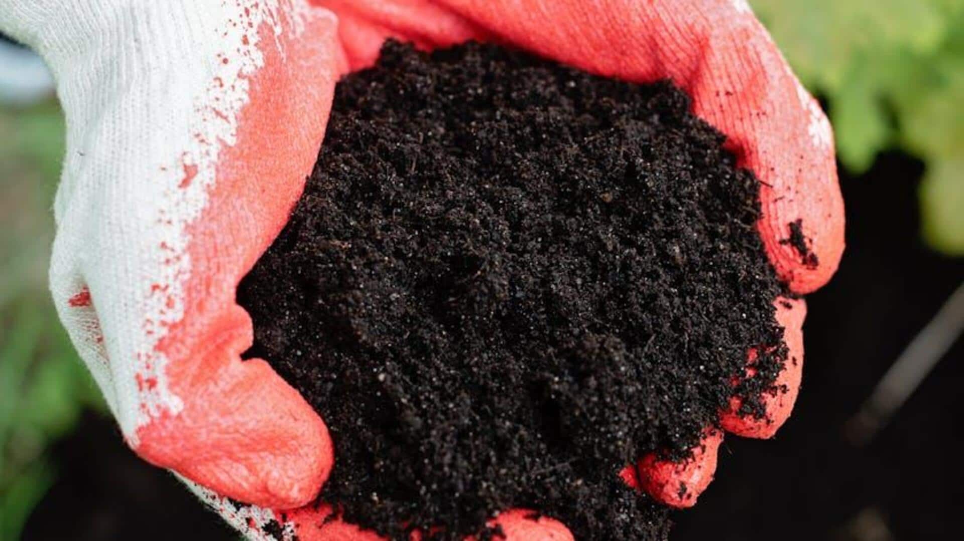 Make garden compost out of kitchen waste: Here's how Make garden compost out of kitchen waste: Here's how