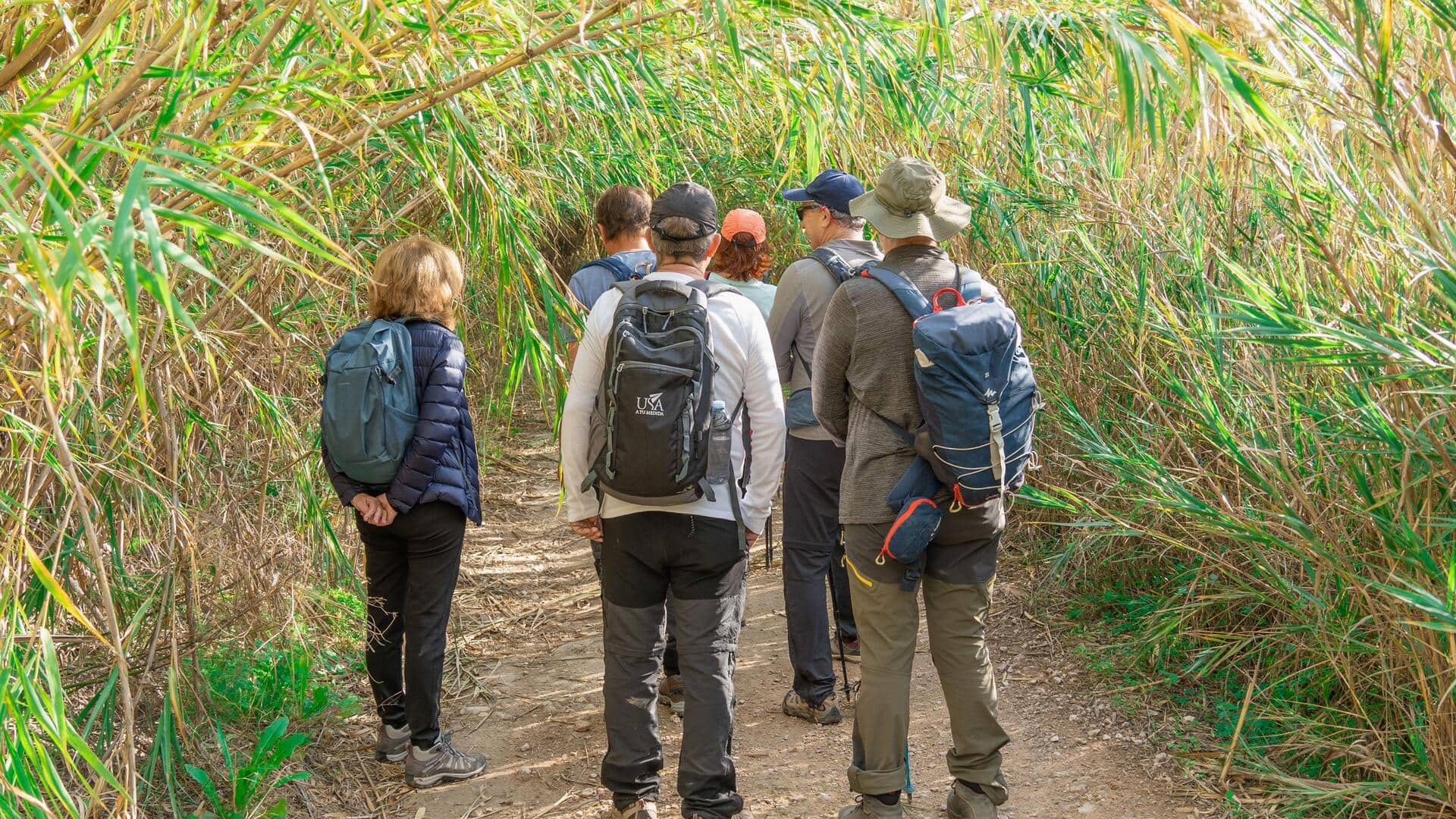 Hiking helps you sleep better: Here's how