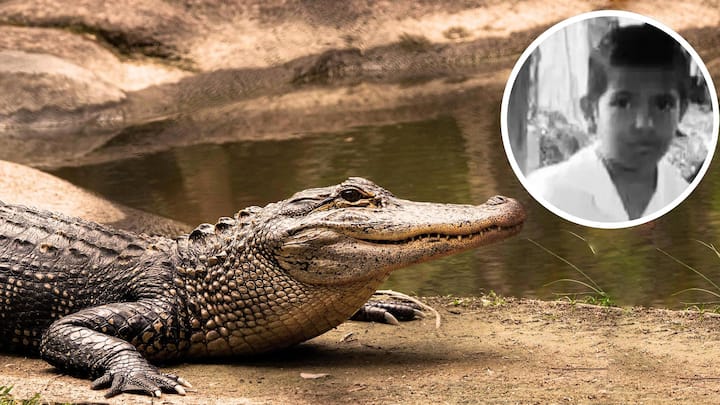 Costa Rica: Crocodile kills 8-year-old in front of his parents