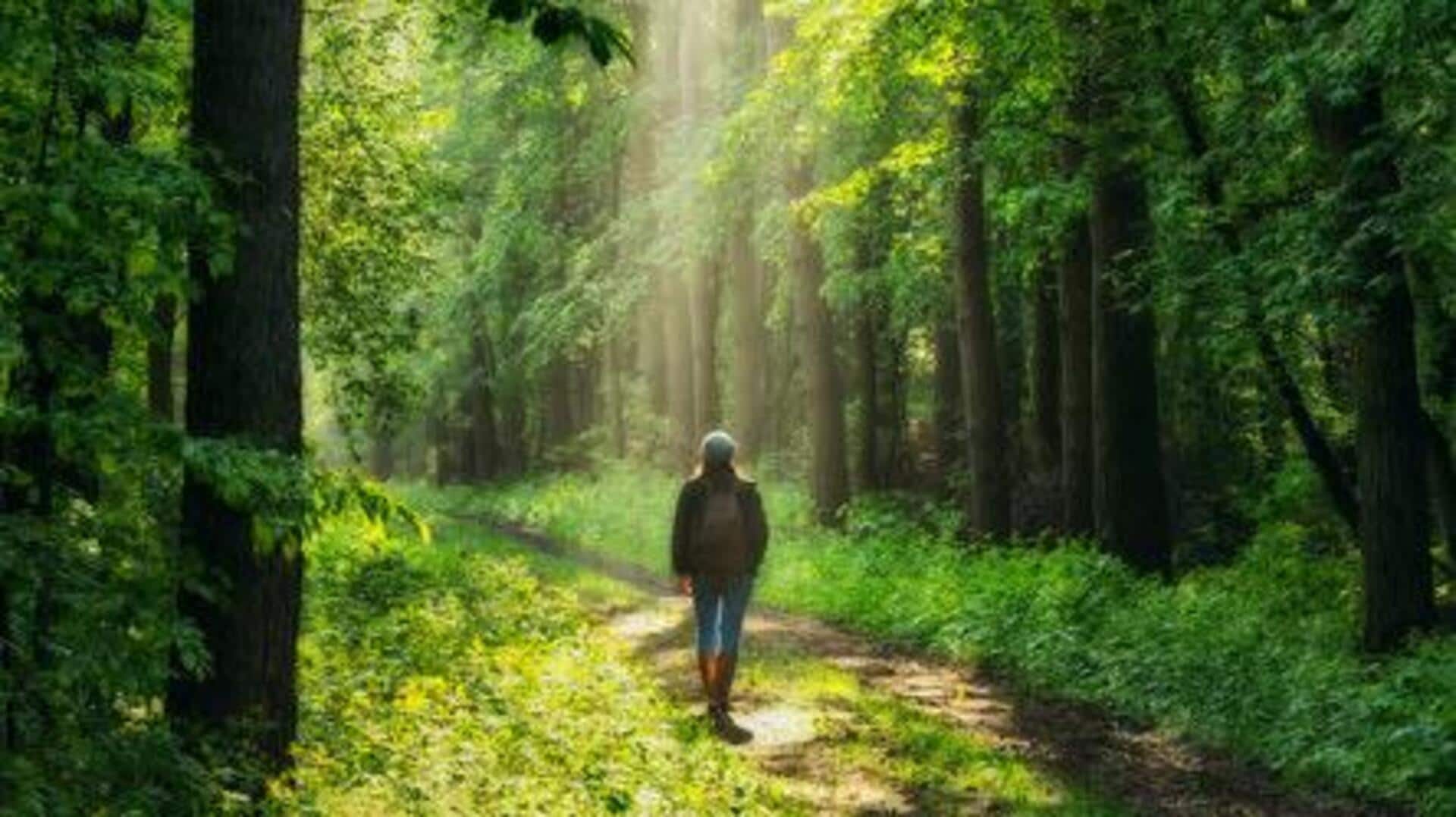 How nature walks improve overall wellness How nature walks improve overall wellness