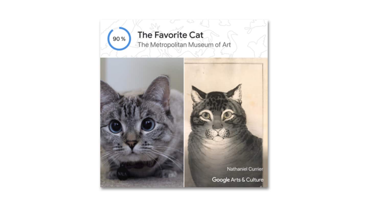 Google can now match your pets to famous portraits
