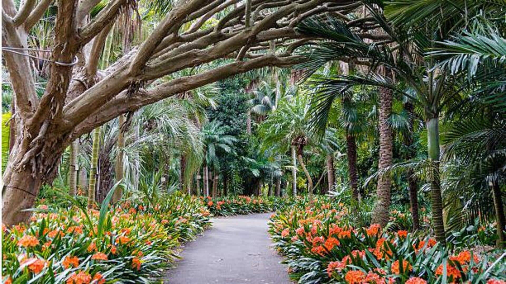 Hidden gems: 5 botanical gardens worth visiting Hidden gems: 5 botanical gardens worth visiting