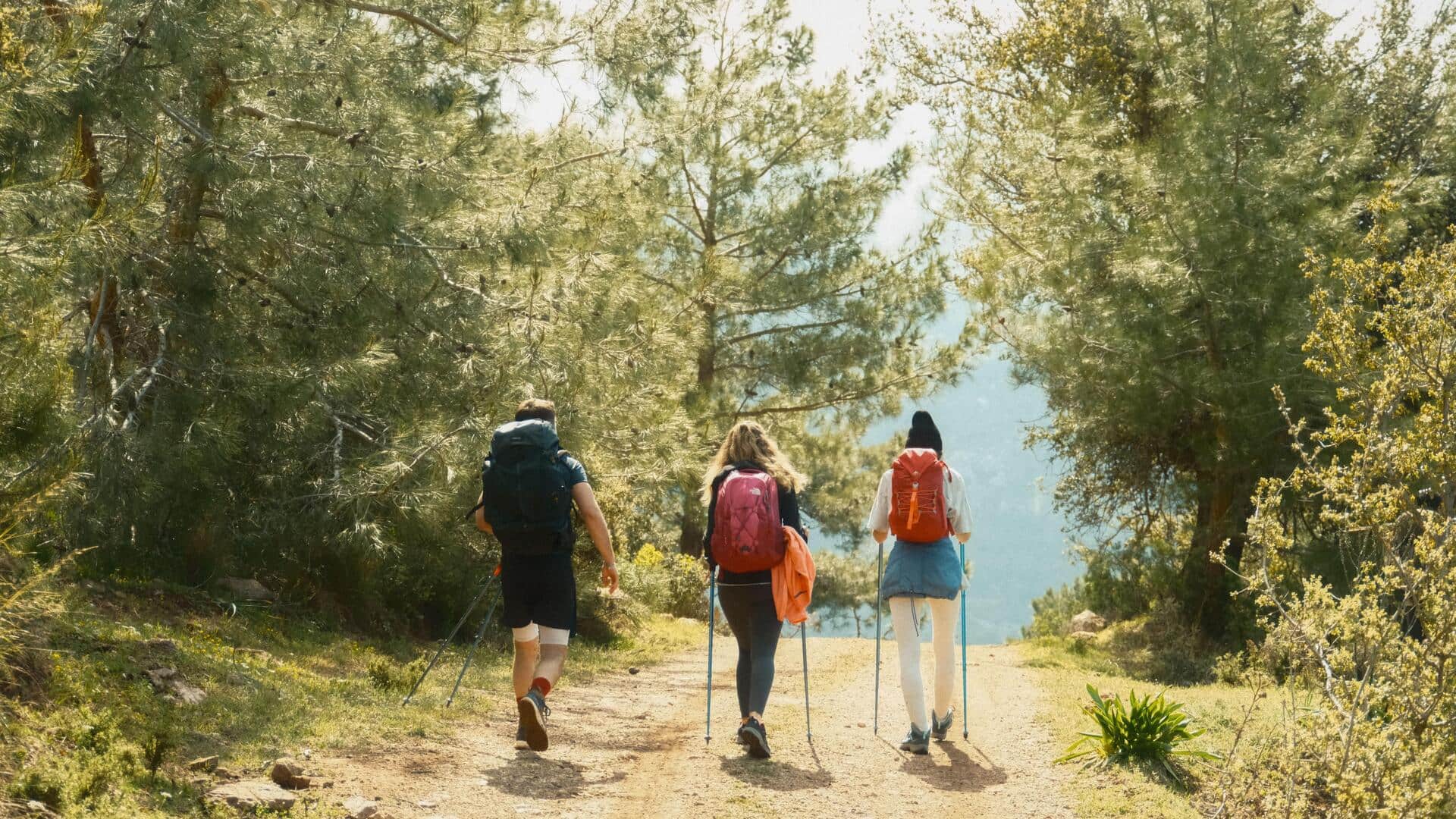 Want better cardio without stressing your joints? Consider hiking