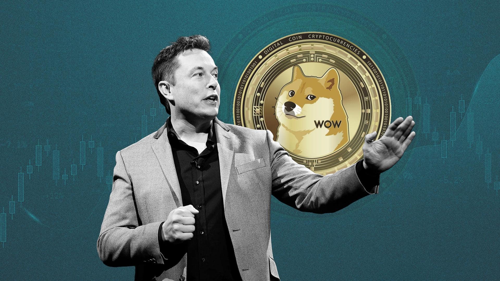 Exploring Elon Musk's love affair with Dogecoin