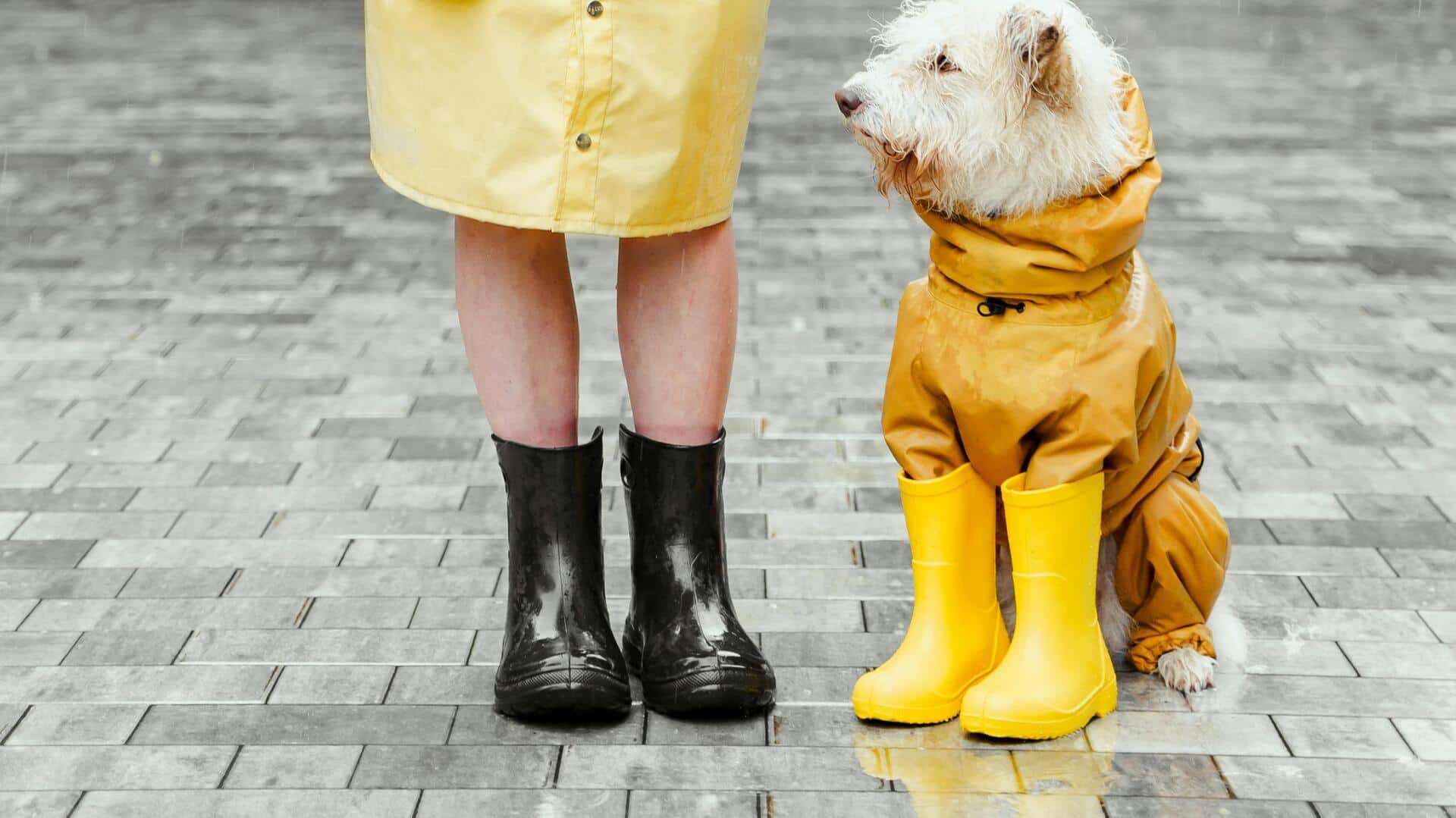 How to pick sustainable rain jackets this monsoon How to pick sustainable rain jackets this monsoon