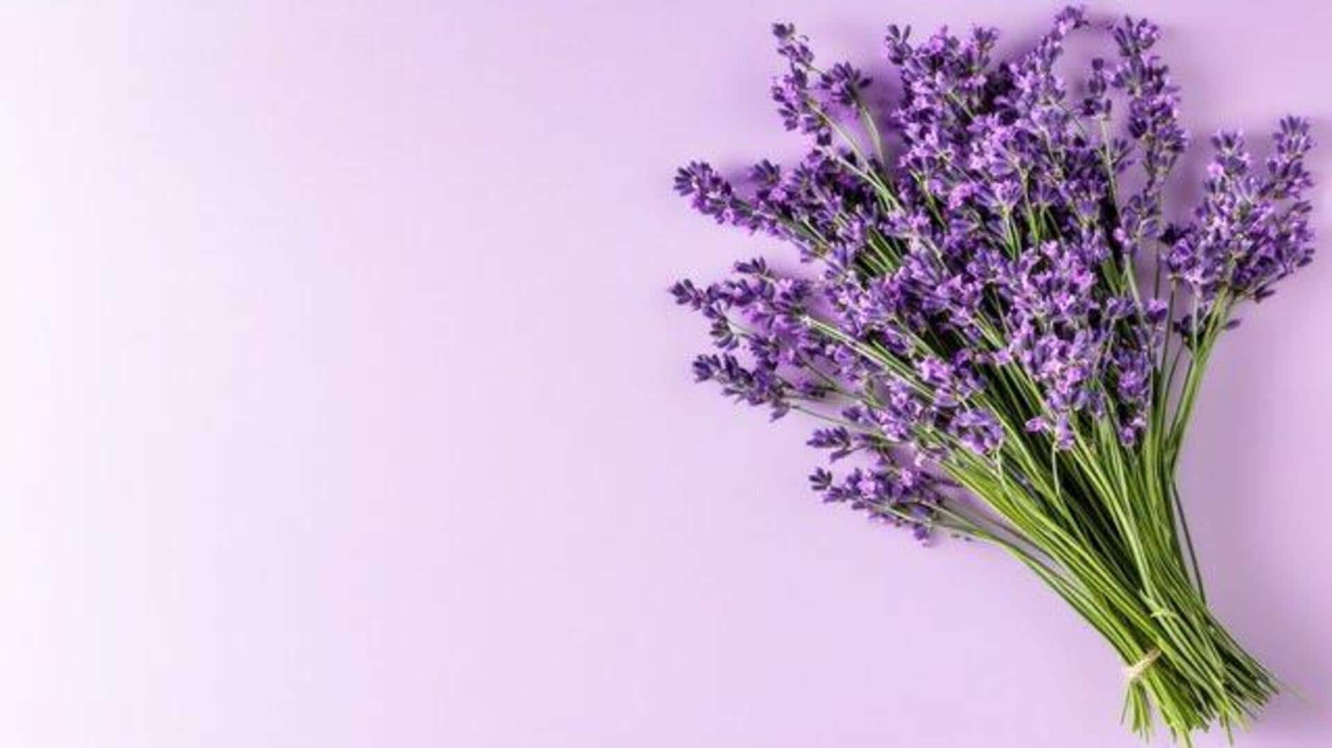 Lavender for wellness: Benefits and uses 