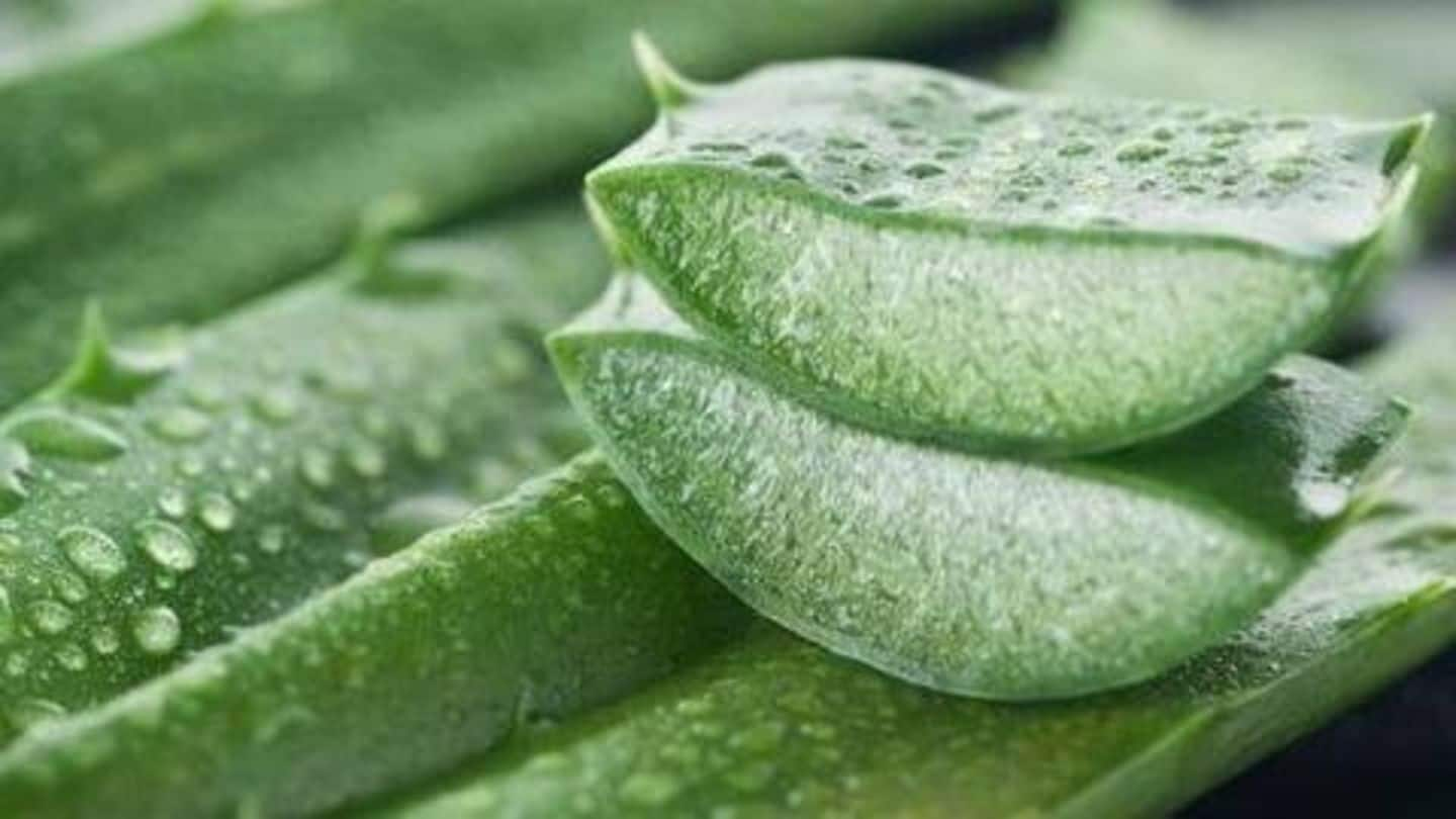 5 amazing beauty benefits of using aloe vera