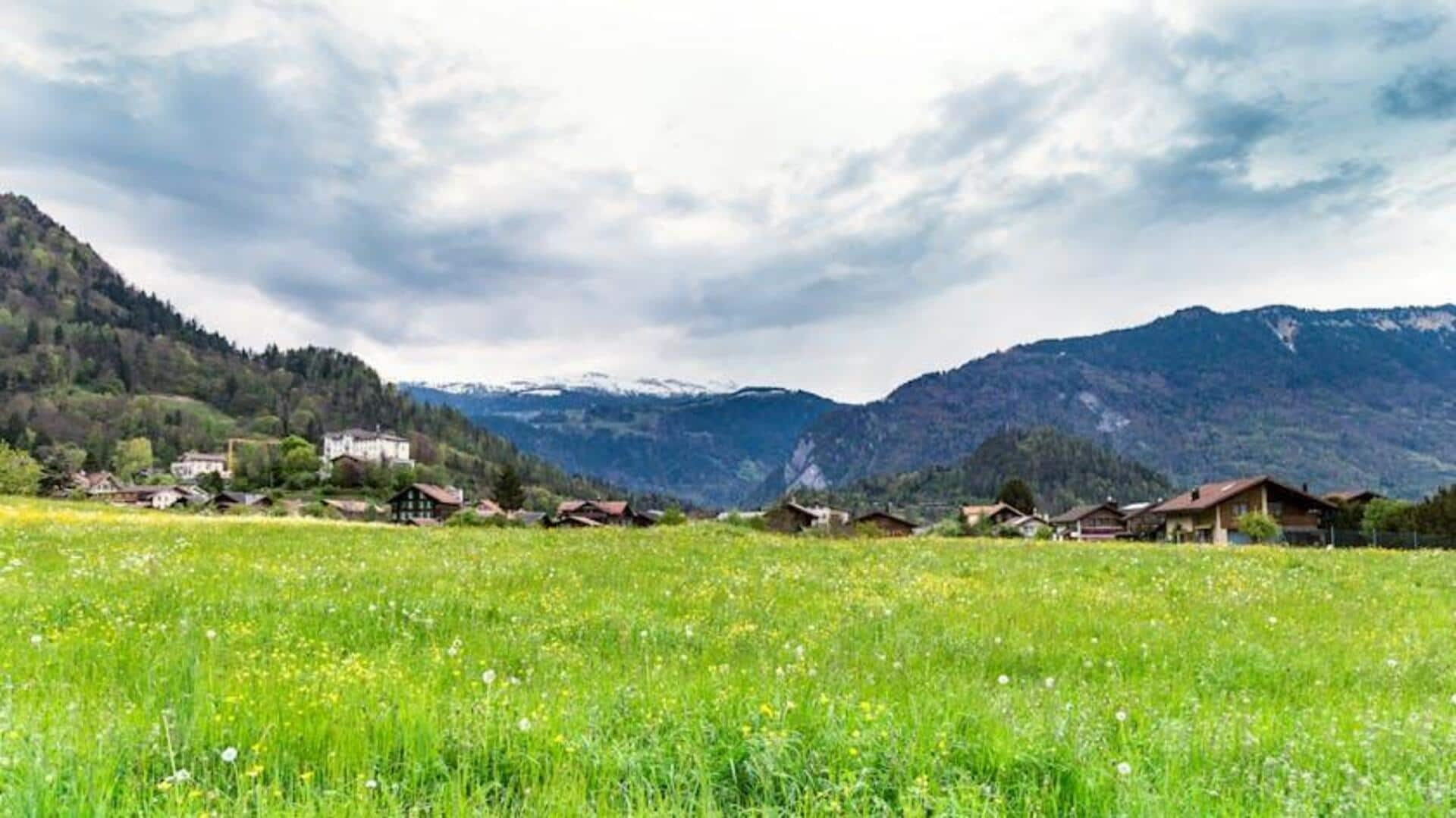 Exploring serene wildflower hikes in the Swiss Alps