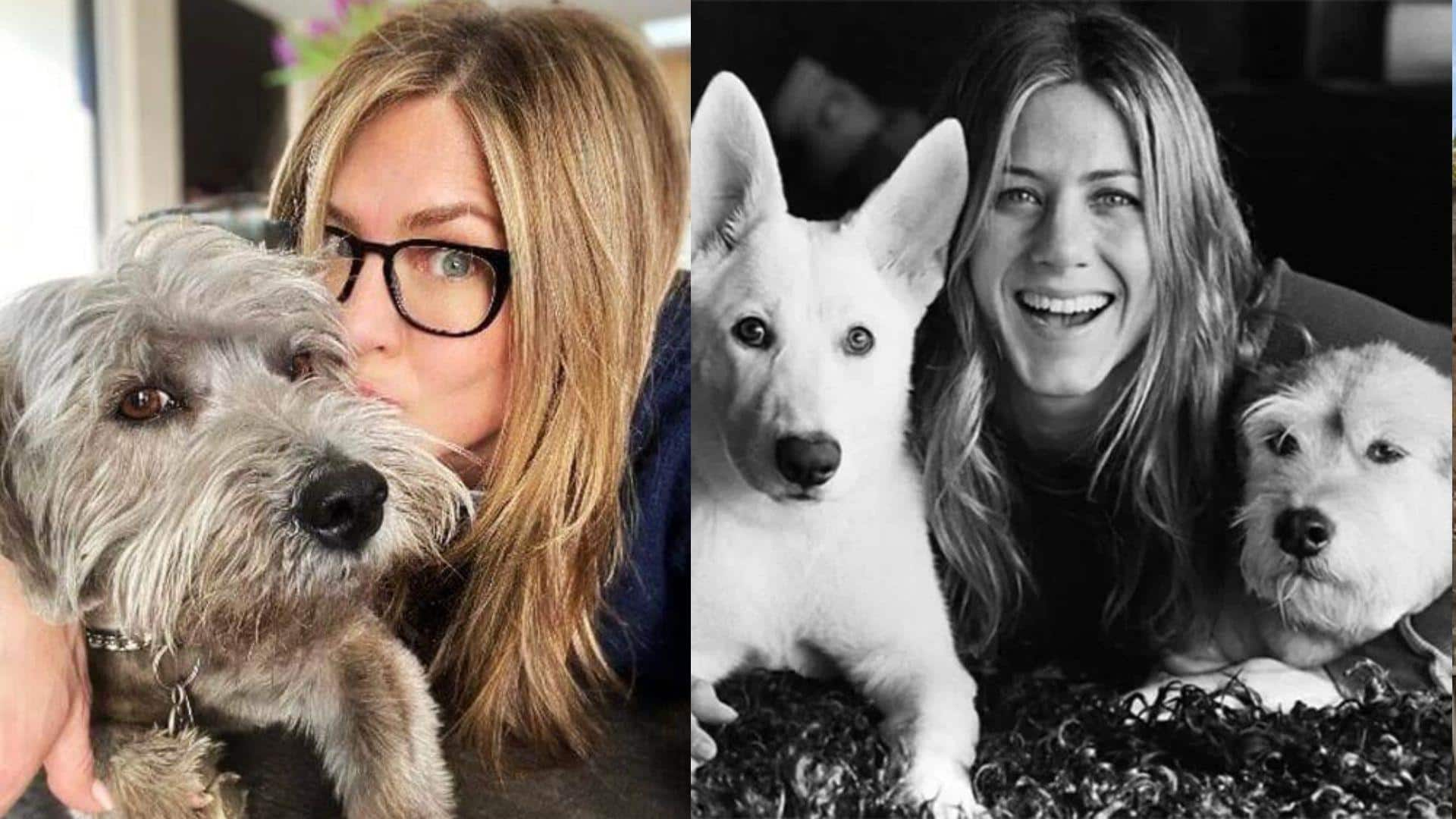 How 'F.R.I.E.N.D.S' scene sparked Jennifer Aniston's love for rescue dogs