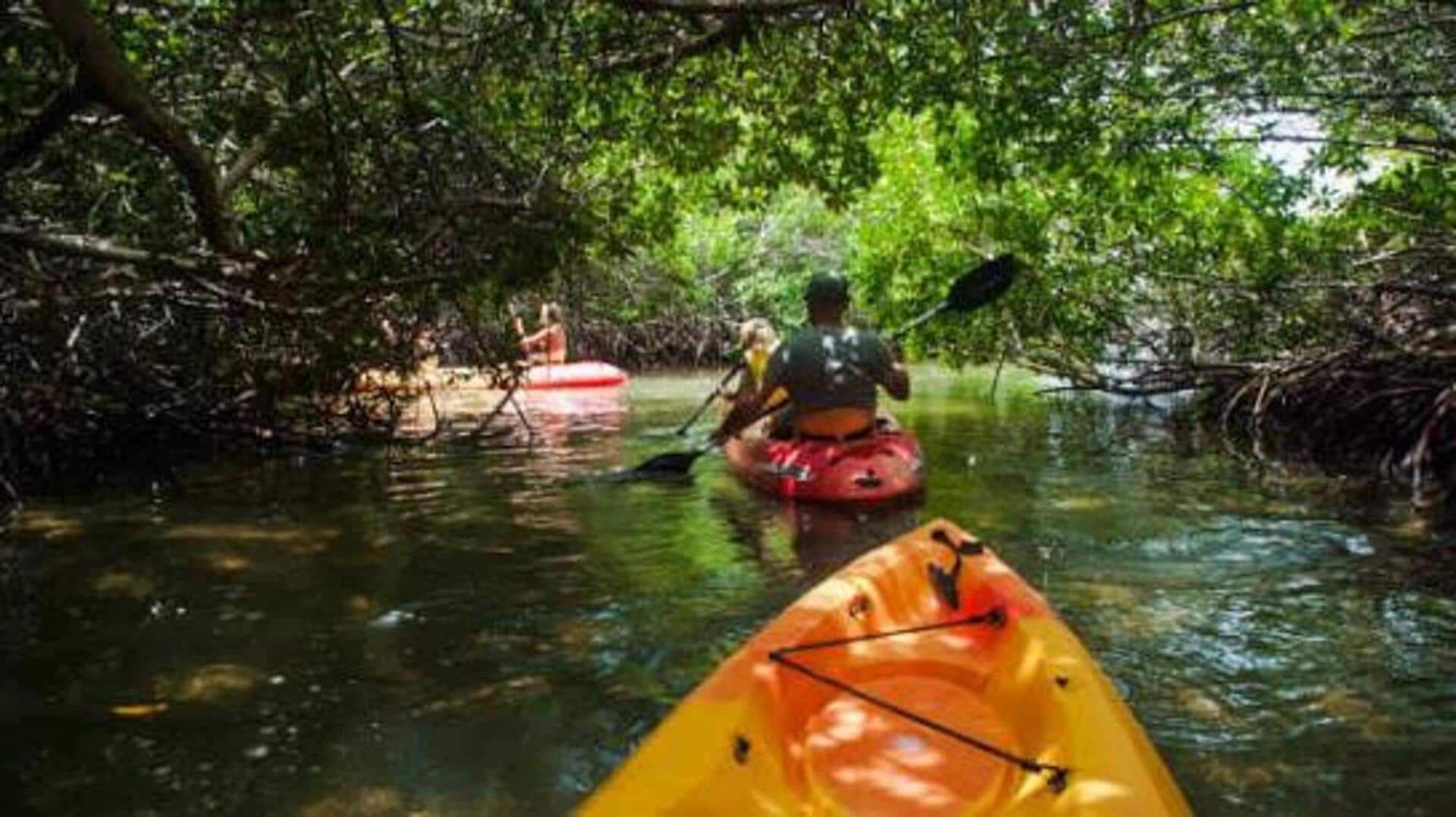 Explore the beauty of Gabon's mangrove forests by kayak 