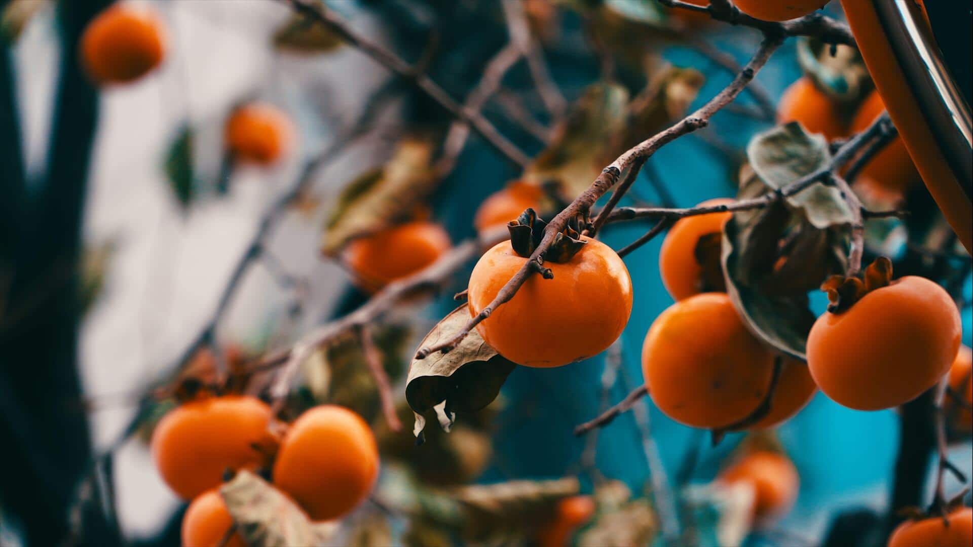 Make persimmons more exciting with these 5 chutneys
