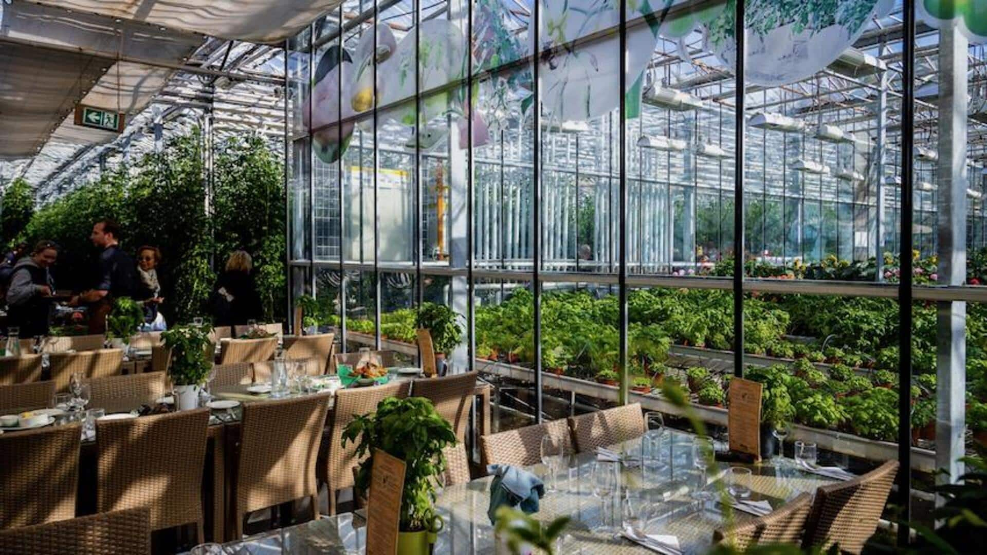 Experience the magic of Arctic greenhouse dining 