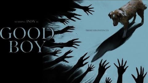 'Good Boy' trailer: Horror film redefines haunted house genre