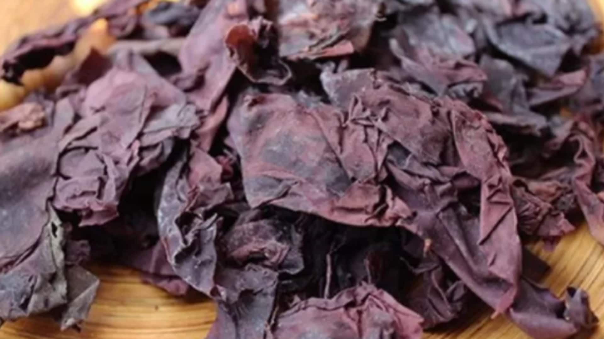 What is dulse seaweed? Why should you read about it?