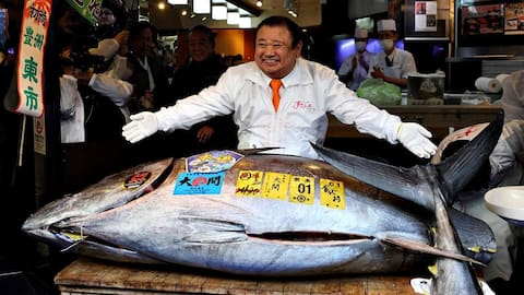 Bluefin tuna sold for record $3.2M at Tokyo auction