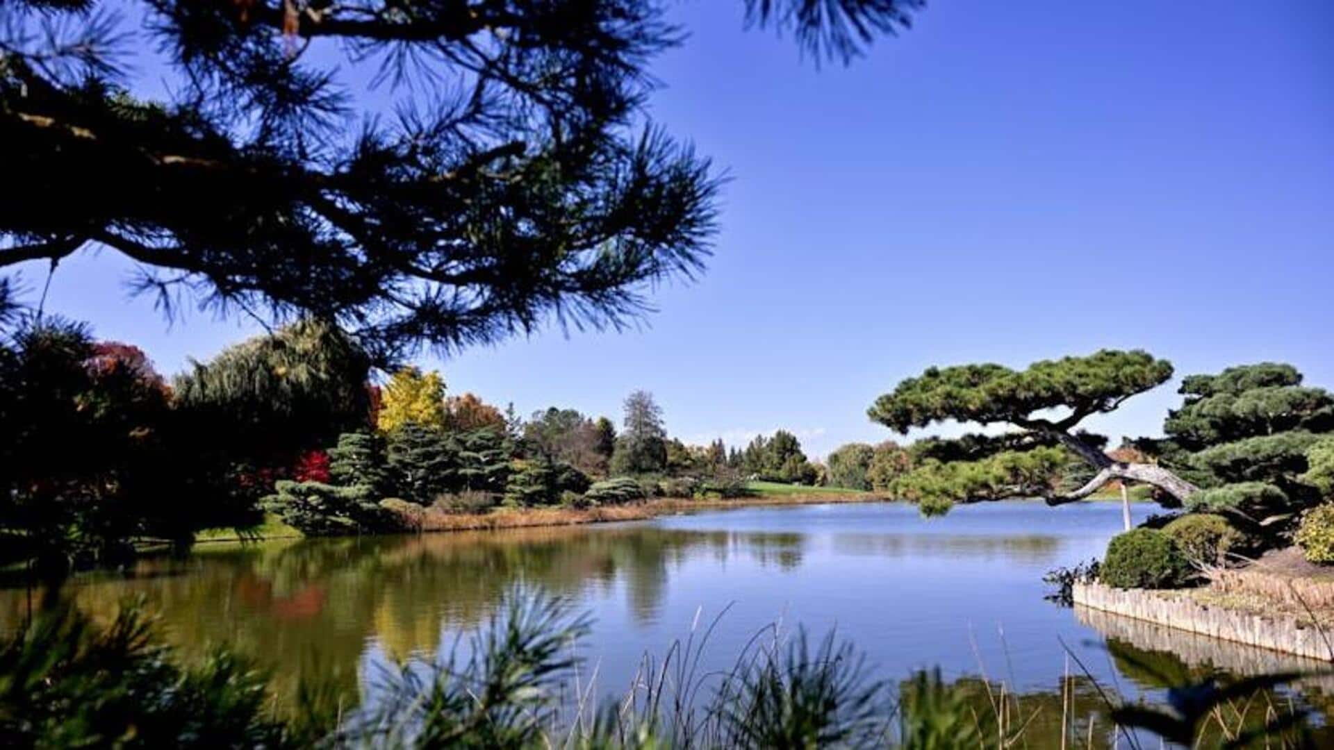 5 fascinating facts about Japanese garden culture 5 fascinating facts about Japanese garden culture