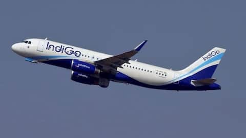 IndiGo chaos continues as several flights canceled amid crew shortage  