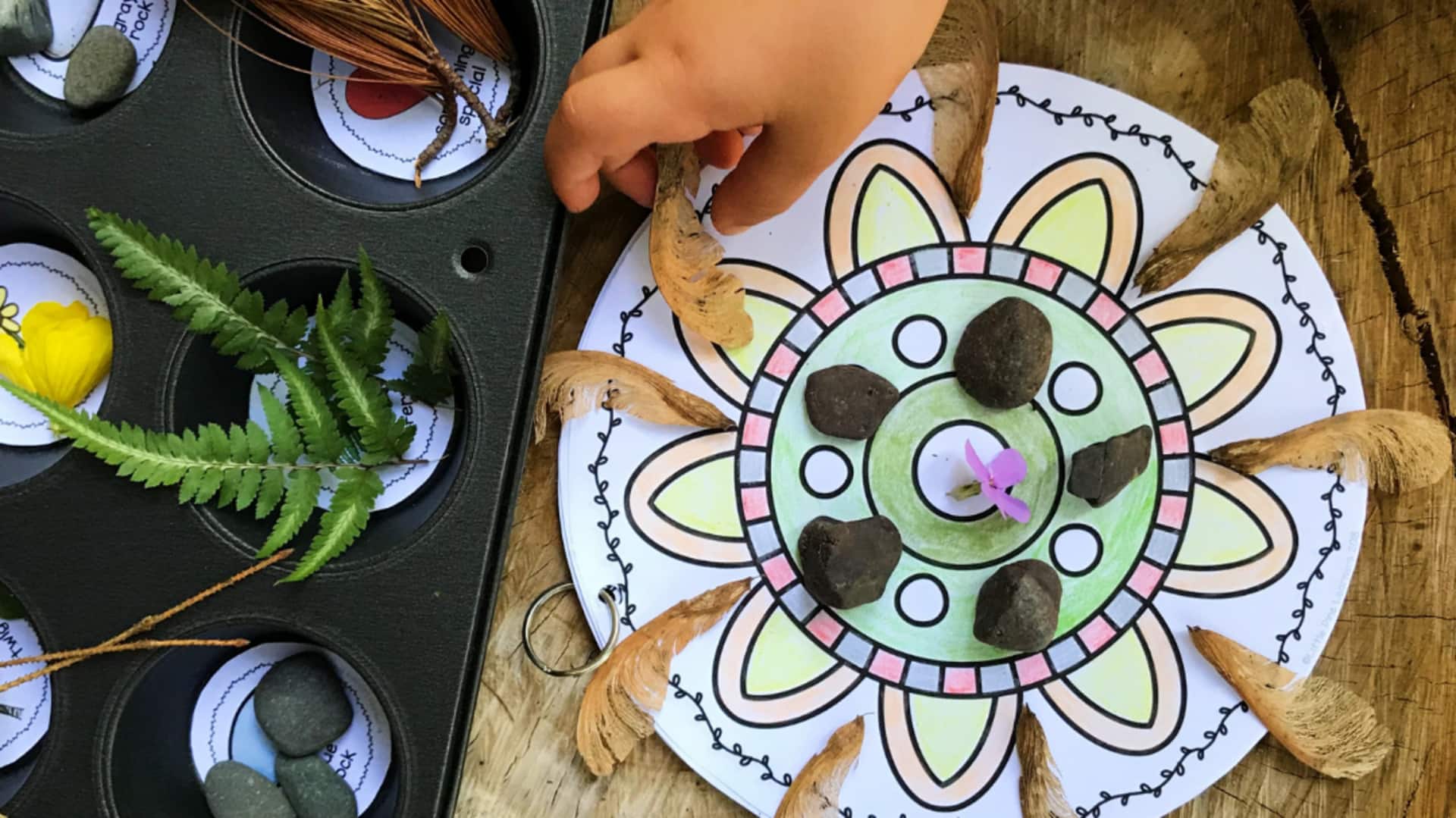 What are nature mandalas?