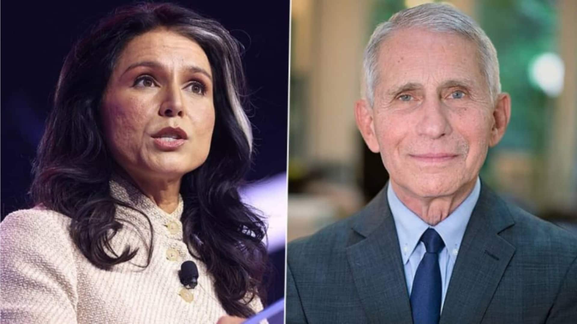 Fauci lied under oath, funded Wuhan lab: US intelligence head