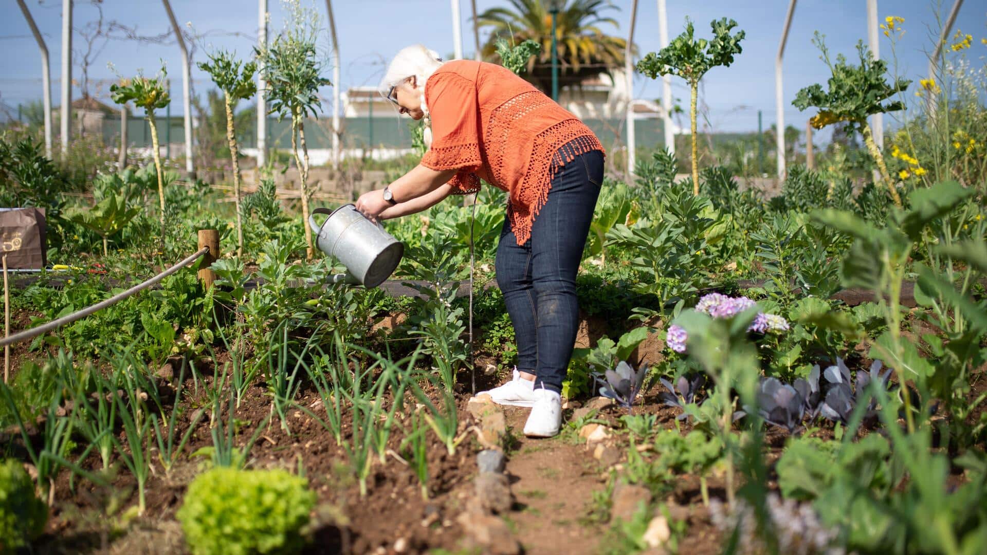 How gardening can keep you fit and relaxed