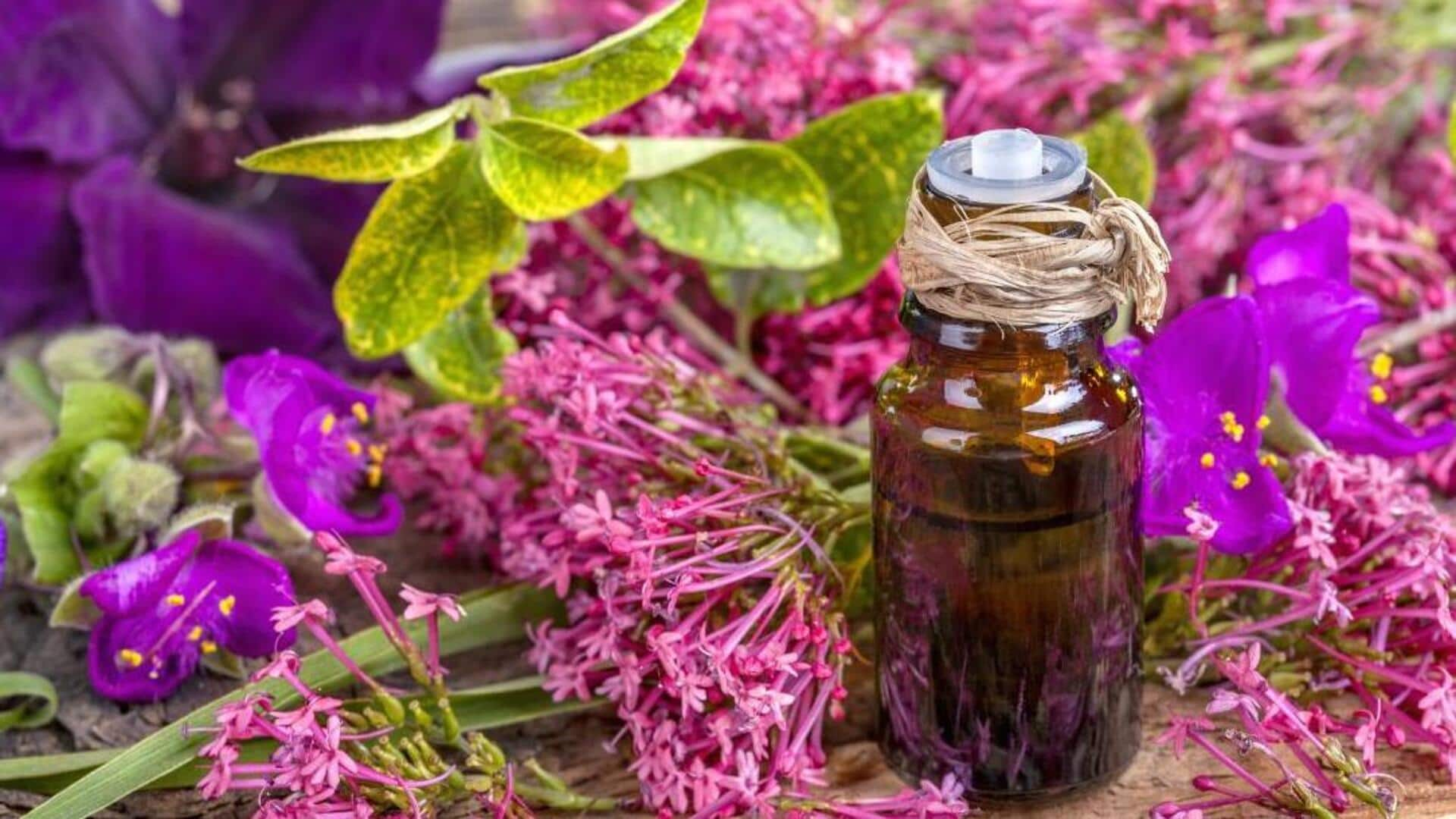 Elevating meditation atmosphere with clary sage oil